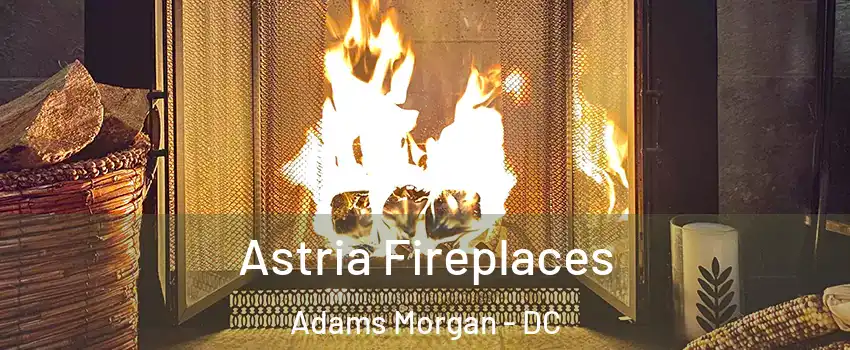 Astria Fireplaces Adams Morgan - DC