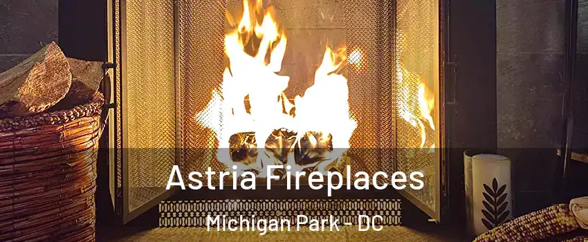 Astria Fireplaces Michigan Park - DC