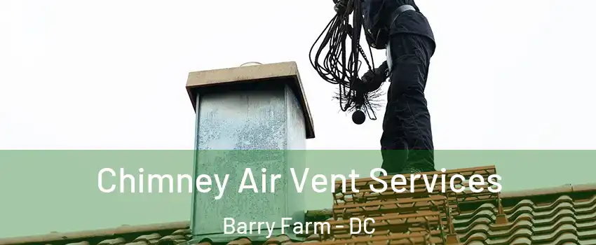 Chimney Air Vent Services Barry Farm - DC