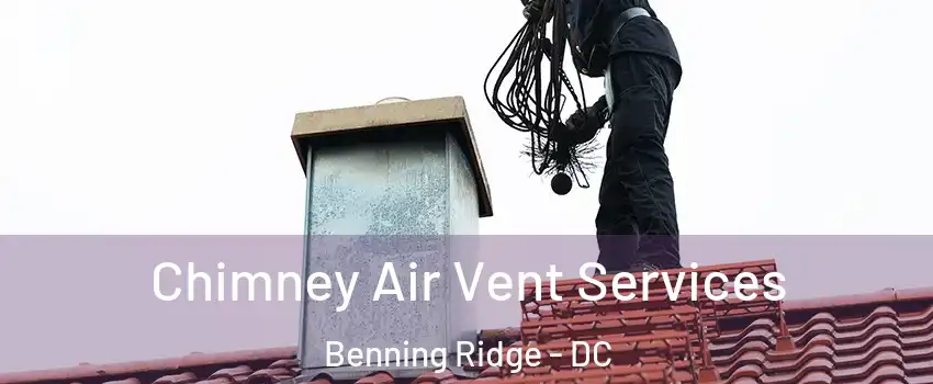 Chimney Air Vent Services Benning Ridge - DC