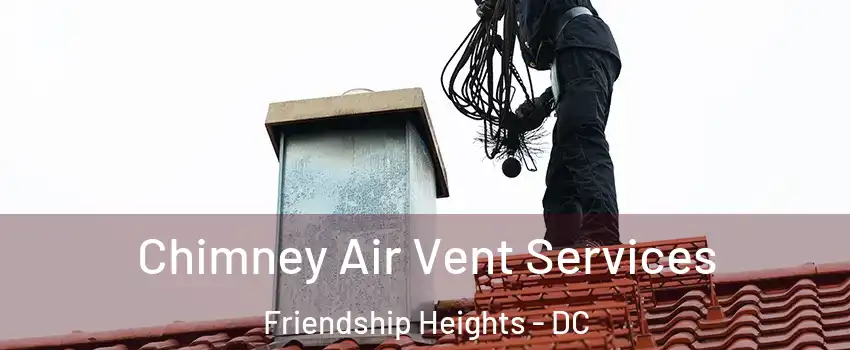 Chimney Air Vent Services Friendship Heights - DC