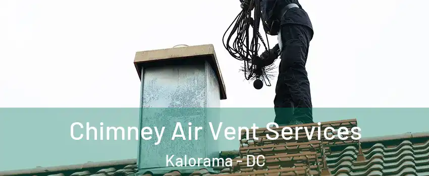 Chimney Air Vent Services Kalorama - DC