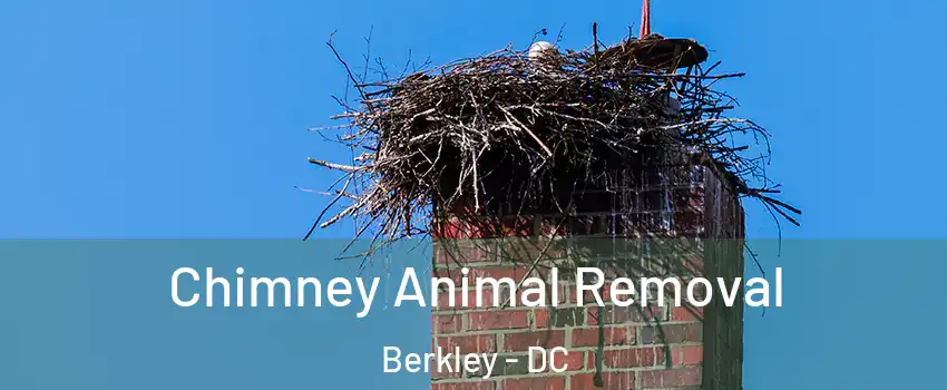 Chimney Animal Removal Berkley - DC