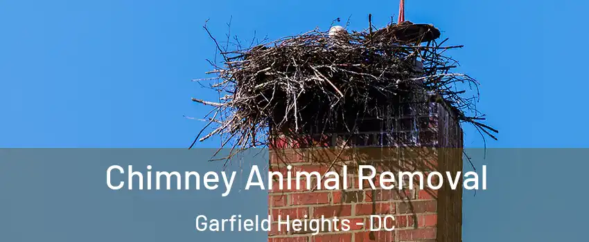 Chimney Animal Removal Garfield Heights - DC