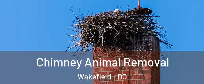 Chimney Animal Removal Wakefield - DC