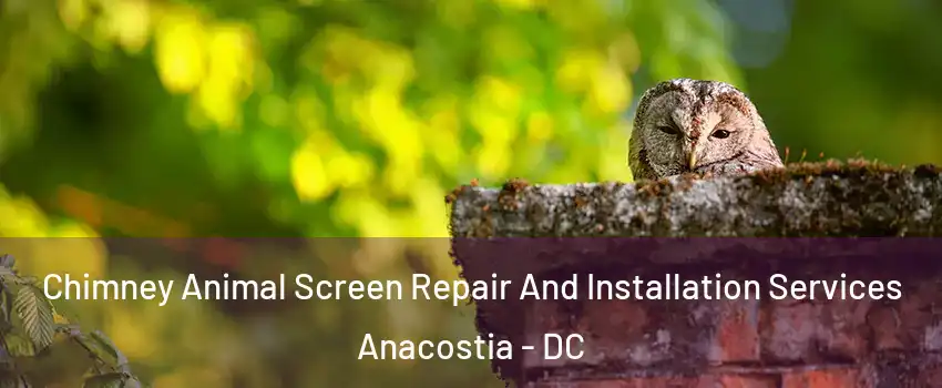 Chimney Animal Screen Repair And Installation Services Anacostia - DC