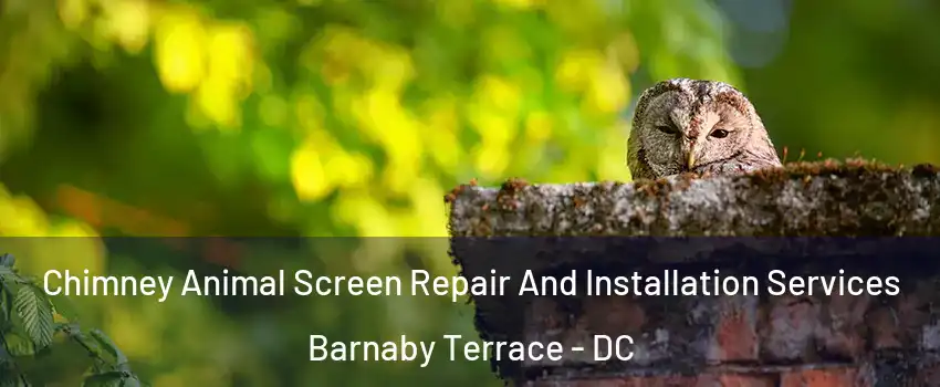 Chimney Animal Screen Repair And Installation Services Barnaby Terrace - DC