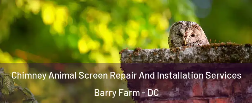 Chimney Animal Screen Repair And Installation Services Barry Farm - DC