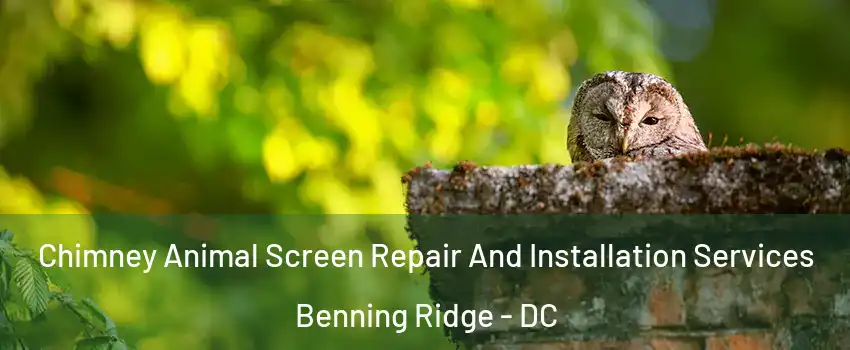 Chimney Animal Screen Repair And Installation Services Benning Ridge - DC