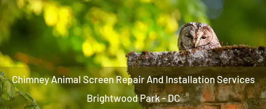 Chimney Animal Screen Repair And Installation Services Brightwood Park - DC