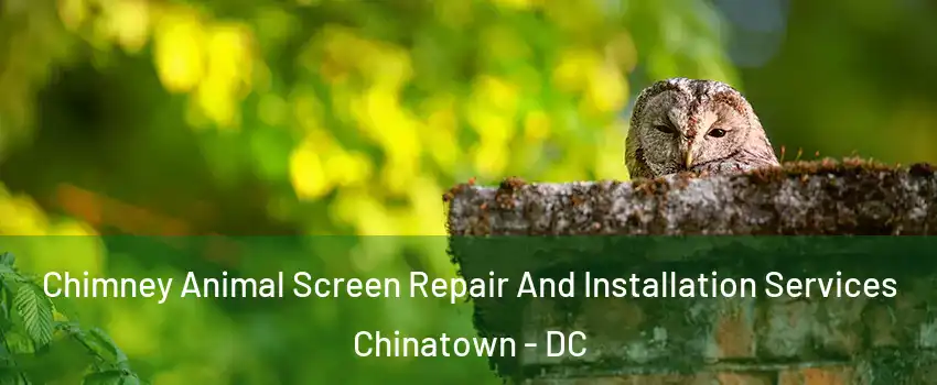 Chimney Animal Screen Repair And Installation Services Chinatown - DC