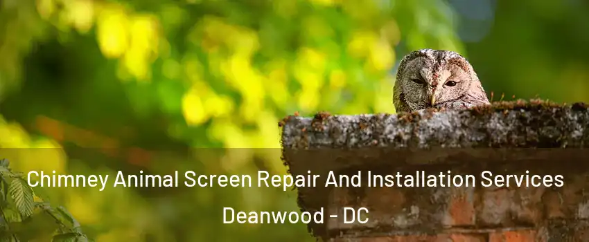 Chimney Animal Screen Repair And Installation Services Deanwood - DC