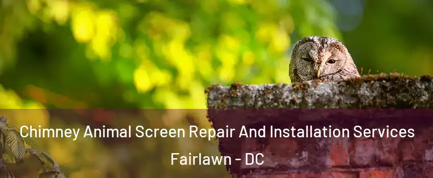 Chimney Animal Screen Repair And Installation Services Fairlawn - DC