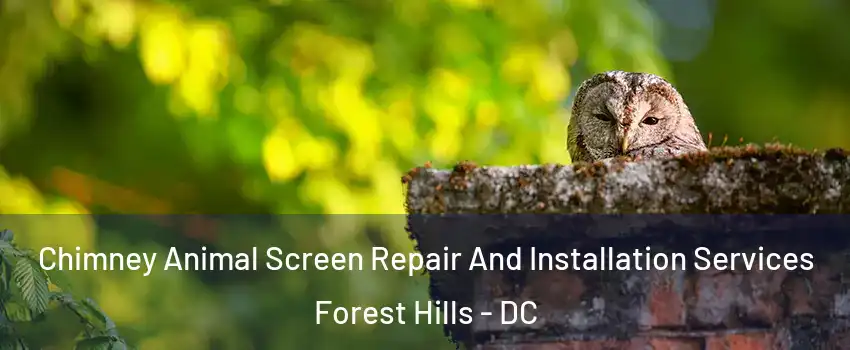 Chimney Animal Screen Repair And Installation Services Forest Hills - DC