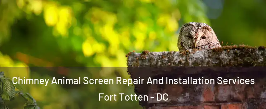 Chimney Animal Screen Repair And Installation Services Fort Totten - DC