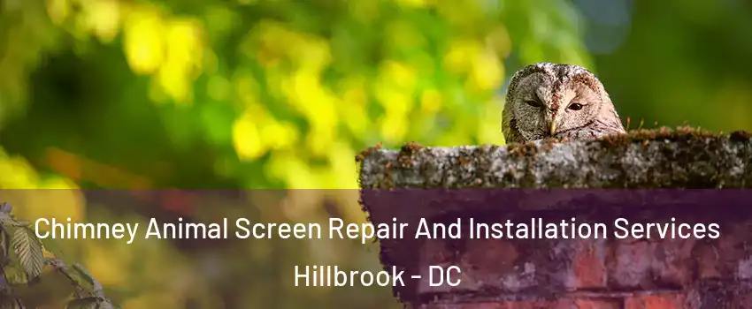 Chimney Animal Screen Repair And Installation Services Hillbrook - DC