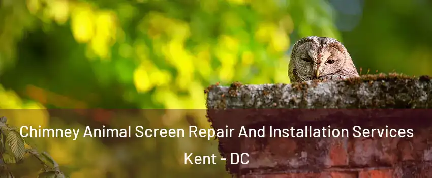 Chimney Animal Screen Repair And Installation Services Kent - DC