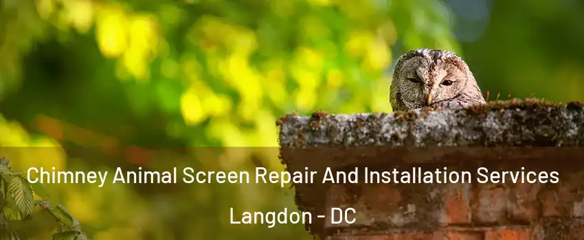 Chimney Animal Screen Repair And Installation Services Langdon - DC