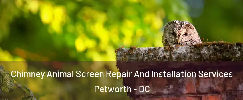 Chimney Animal Screen Repair And Installation Services Petworth - DC