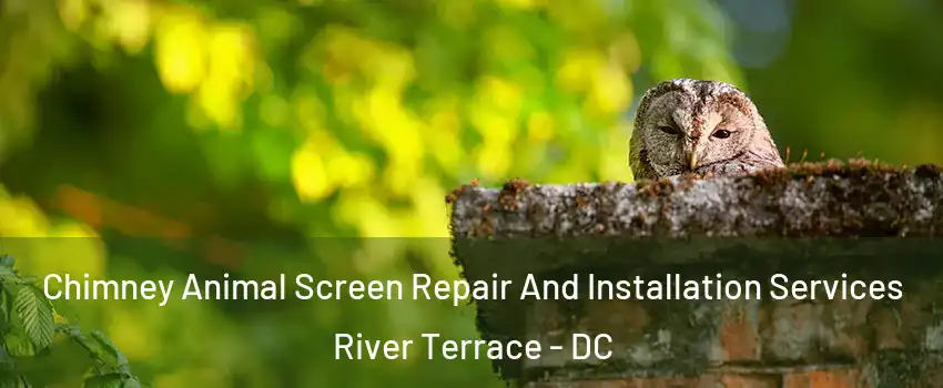 Chimney Animal Screen Repair And Installation Services River Terrace - DC