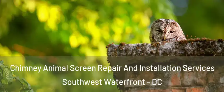 Chimney Animal Screen Repair And Installation Services Southwest Waterfront - DC