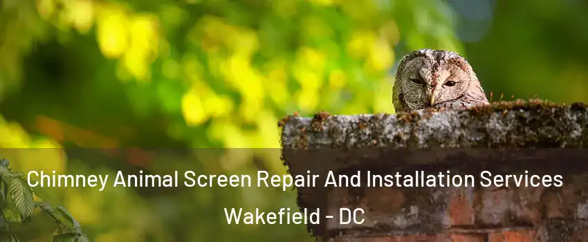 Chimney Animal Screen Repair And Installation Services Wakefield - DC