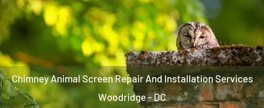 Chimney Animal Screen Repair And Installation Services Woodridge - DC