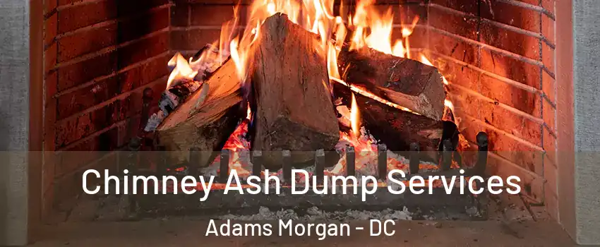 Chimney Ash Dump Services Adams Morgan - DC