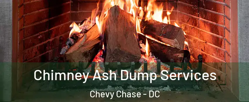 Chimney Ash Dump Services Chevy Chase - DC