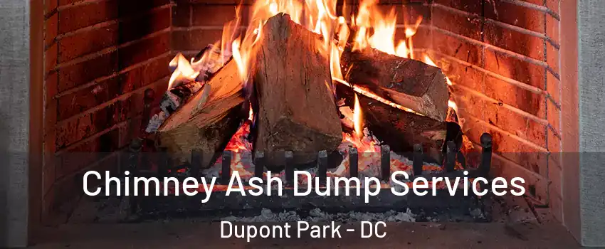 Chimney Ash Dump Services Dupont Park - DC