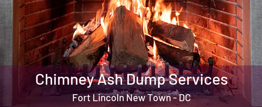 Chimney Ash Dump Services Fort Lincoln New Town - DC