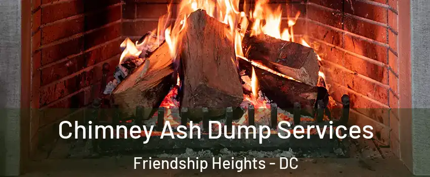 Chimney Ash Dump Services Friendship Heights - DC