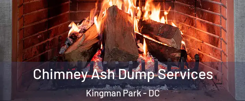 Chimney Ash Dump Services Kingman Park - DC