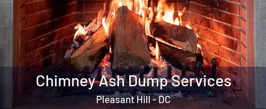 Chimney Ash Dump Services Pleasant Hill - DC