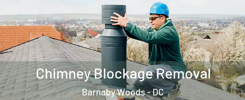 Chimney Blockage Removal Barnaby Woods - DC