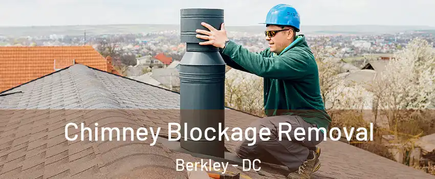 Chimney Blockage Removal Berkley - DC