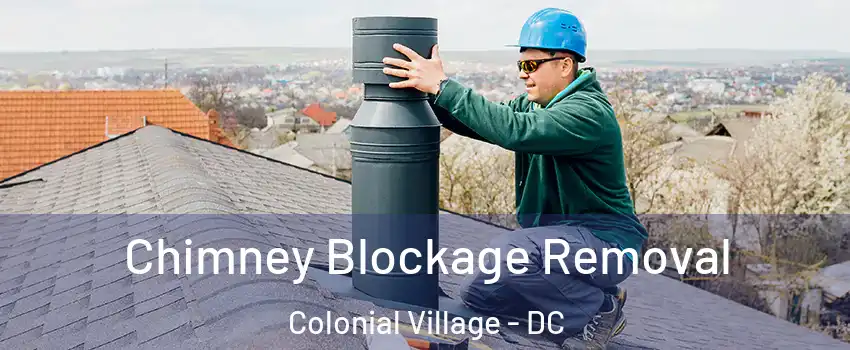 Chimney Blockage Removal Colonial Village - DC