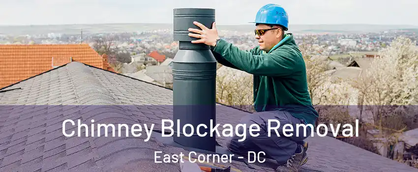 Chimney Blockage Removal East Corner - DC