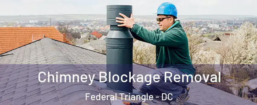 Chimney Blockage Removal Federal Triangle - DC