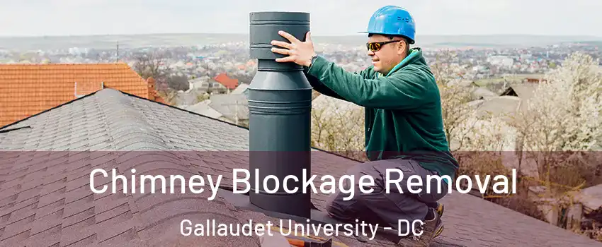 Chimney Blockage Removal Gallaudet University - DC