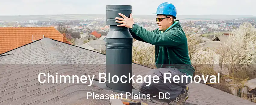 Chimney Blockage Removal Pleasant Plains - DC