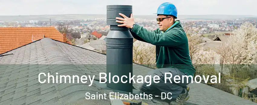 Chimney Blockage Removal Saint Elizabeths - DC