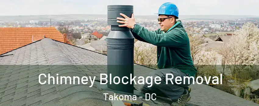 Chimney Blockage Removal Takoma - DC