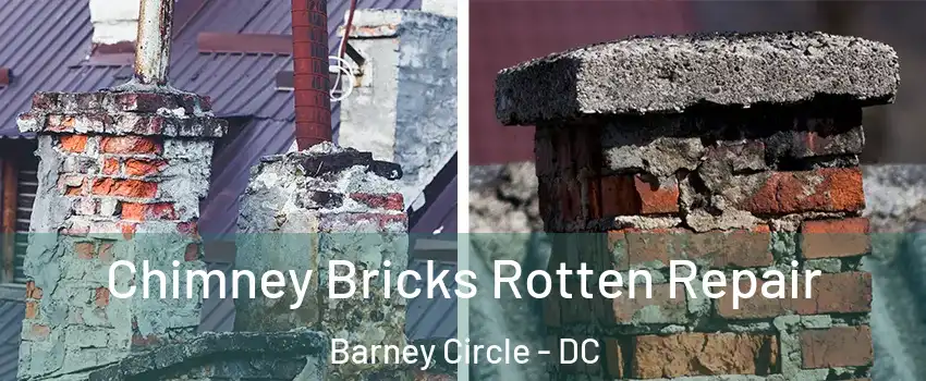 Chimney Bricks Rotten Repair Barney Circle - DC