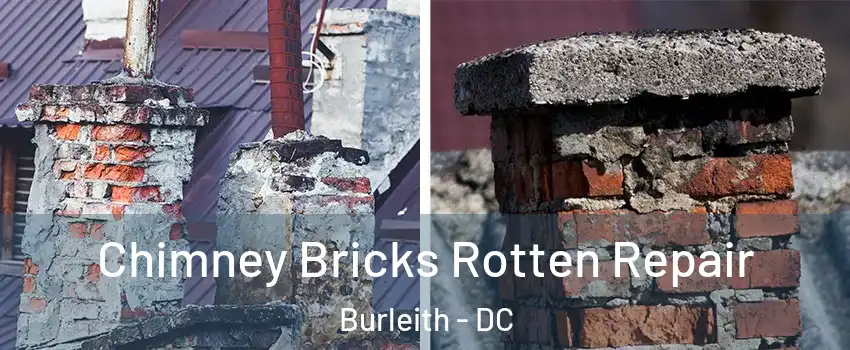 Chimney Bricks Rotten Repair Burleith - DC