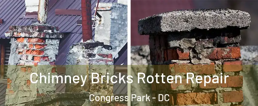 Chimney Bricks Rotten Repair Congress Park - DC