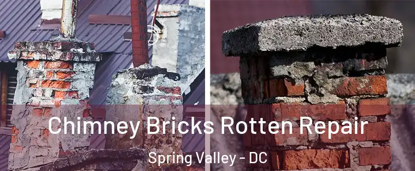 Chimney Bricks Rotten Repair Spring Valley - DC