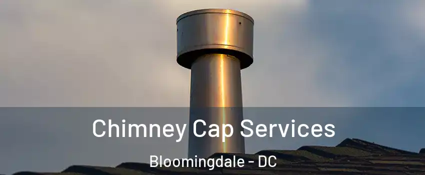 Chimney Cap Services Bloomingdale - DC