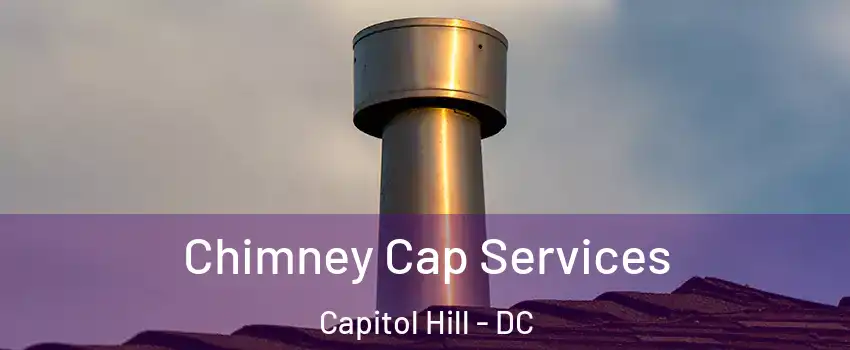 Chimney Cap Services Capitol Hill - DC