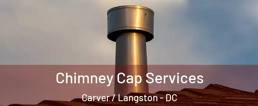 Chimney Cap Services Carver / Langston - DC